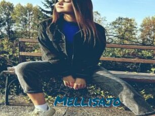 Mellisajo