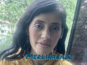 Merlinaliizz