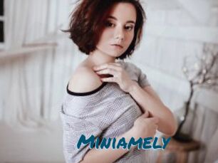 Miniamely