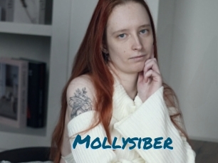 Mollysiber