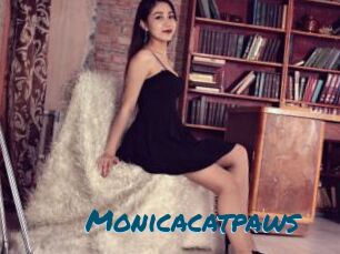 Monicacatpaws