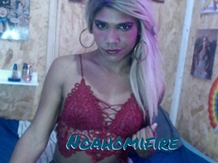 Noahomifire