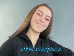 Odeliadredge