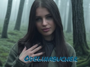 Odelinabucher