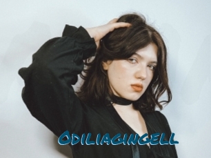 Odiliagingell