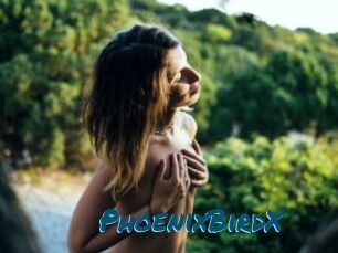 PhoenixBirdX