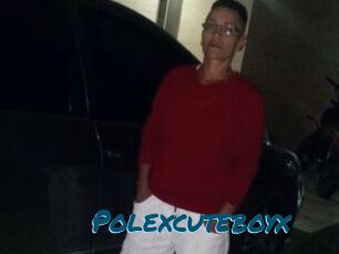 Polexcuteboyx