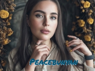 Peacebunyan