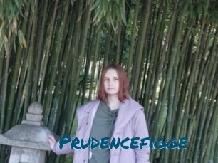 Prudencefigge