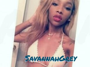 Savannah_Grey