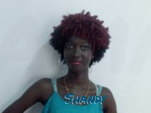 Shandy