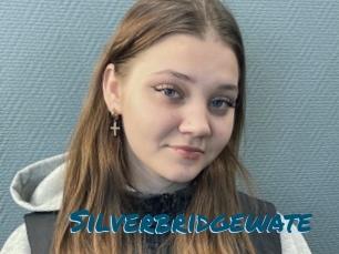 Silverbridgewate