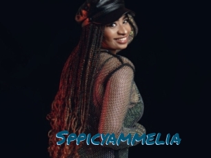 Sppicyammelia