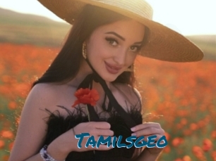 Tamilsgeo