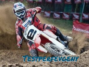 Testperfevgeny