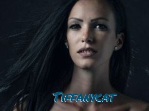 Tiffanycat