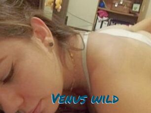 Venus_wild