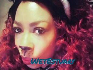 WetEstuary
