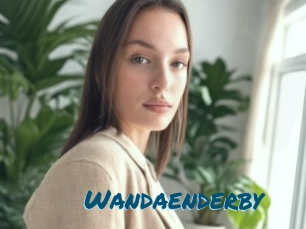 Wandaenderby