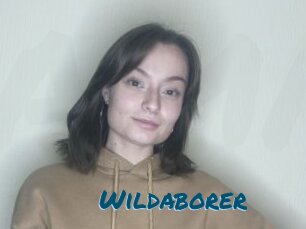 Wildaborer