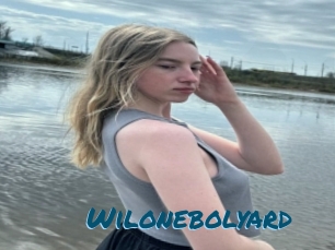 Wilonebolyard