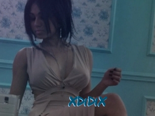 XDiDiX