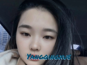 Yangqingxue