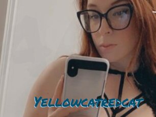 Yellowcatredcat