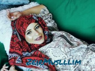 ZeirMuslllim